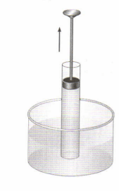 Задание рисунок 1