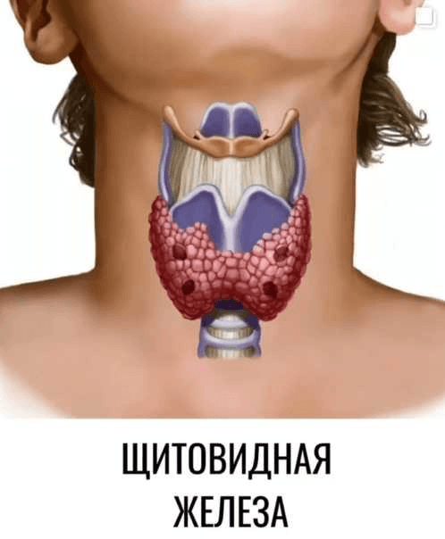 Решение рисунок 3